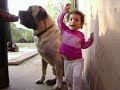 Catalina y Brutus Catalina y Brutus
