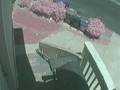 Rohnert Park iPhone Home Invasion Robbery Subject Leaving #2