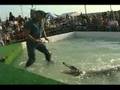 Alligator Almost Takes a chunk out of the Swampmaster