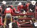 World's Toughest Bulls and Broncs Exposed for Animal Abuse