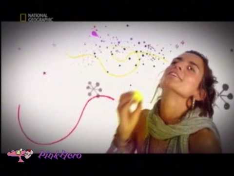 Imagem de Amostra do You Tube