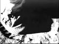 Moon Landing - the first transgender astronaught