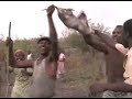 Togo anti-bush fire hip hop video Togo anti-bush fire hip hop video