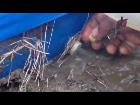 how to drain an above ground pool quickly