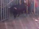 Bou al Carrer Bou al Carrer