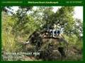 Wild Haven Resort (Bandhavgarh)