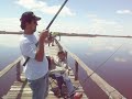100_0784.mov