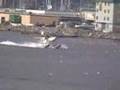 Ketchikan, Alaska - duck tour, salmon spawning