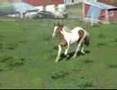 Erlend Bratland - Lost - Surprise