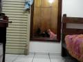 videos de MOV01009.MPG