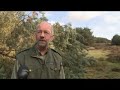 Natuurmonumenten velt bomen in Planken Wambuis