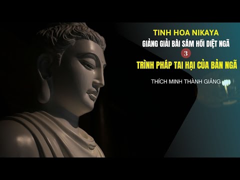 Tinh Hoa NIKAYA - Giảng Giải Bài Sám Hối Diệt Ngã 3 - Trình Pháp Tai Hại Của Bản Ngã