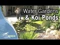 Aquascape Water Gardens and Ecosystem Ponds