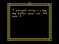 a walkthrough of the immortal (nes version).