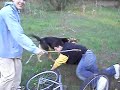 Alubias bici 1
