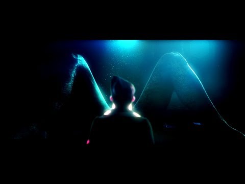 Youtube Video EgK5DWMaq88