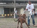 ZEUS DO ALTO QUATIS RESENDE
