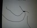 Line Boarder Awesome (lol) Kumba Yo!