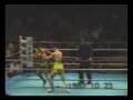 Mixed KO kyokushin kickboxing & jiujutsu 極真 キック 柔術 鹿児島