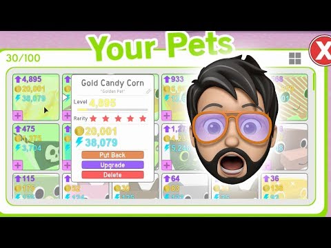 Insane Trades For Level 15 Gold Pets Pet Simulator Roblox