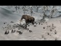 Did this battle for a laugh but it's funny seeing them all run around the mammoth!