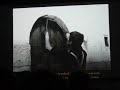 PAZIENZA ANDREA: UNO OGNI SACCO D\