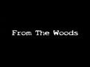 From The Woods