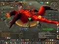 AQ 20 Kurinnaxx