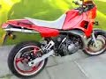 TDR 250