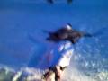 Jey saut dans la neige en andorre