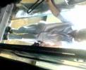 Starang on the bus!