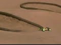 2006 Hot Rod Hobbies Factory Challenge......Losi Race