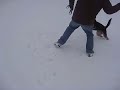 Quixote and the stick.avi