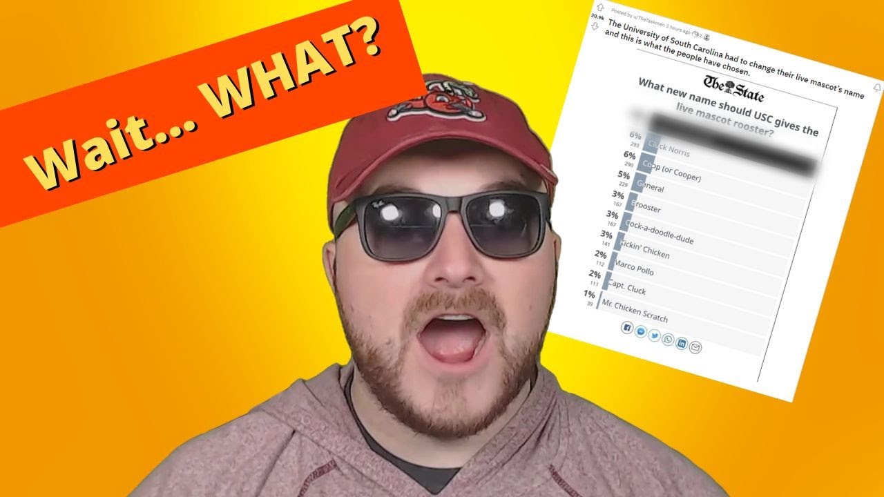 Buffalo Bills 'Punt God' Matt Ariza, 2 other accused in rape lawsuit