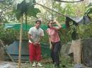 PRACTICAS DE BYR (parte II)