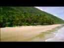 Queensland's Best Beaches
