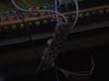 Hohner Clavinet Transformer Replacement