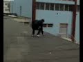 Uscita dalla Finestra Aula 25 Itis A.Pacinotti Taranto 5^D elettrotecnica PRESENTE!