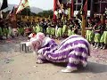 Village Dragon dance