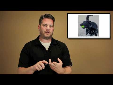 how to speed up wordpress