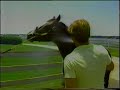 Northern Dancer Northern Dancer