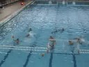 Pallanuoto - Posillipo vs. Plebiscito Padova (1-7-2008) Pallanuoto - Posillipo vs. Plebiscito Padova (1-7-2008)