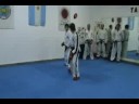Instituto Superior de Taekwondo - Fauto Caputo - IV DAN