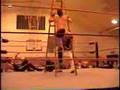 Ladder-Match-Wrestli