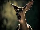 Scream it\