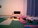lego forumula one