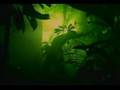 Tocu - Editus - Costa Rica