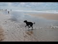 Naru on vacation Naru on vacation