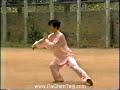 Chen Xiaojia Taijiquan Yi-lu w/Chen PeiJu Chen Xiaojia Taijiquan Yi-lu w/Chen PeiJu