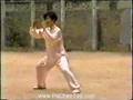 Chen Xiaojia Taijiquan ... Video zeigen